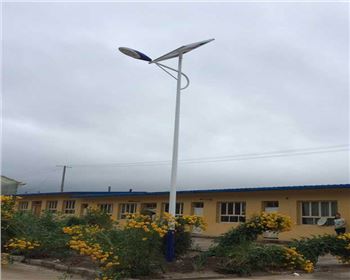 寧夏農村太陽能路燈-寧夏定西渭源縣太陽能路燈項目