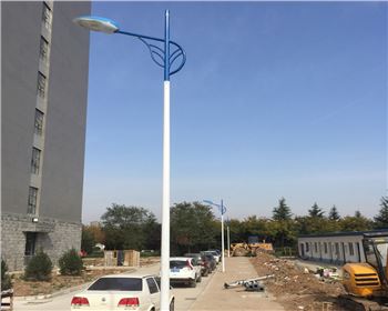 湖北市電路燈-湖北省西安市西北大學(xué)長安校區(qū)路燈工程